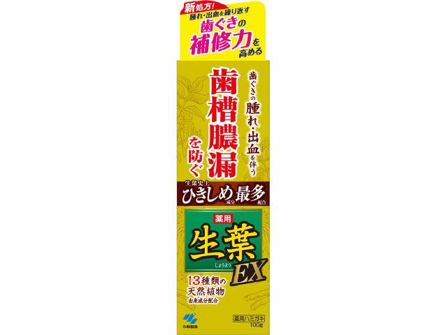 小林製薬 ハミガキ 生葉EX 100g 【重度歯周トラブルケア歯磨き】 【医薬部外品】